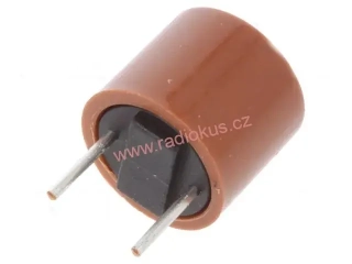 Pojistka F 1A / 250V radiální do DPS